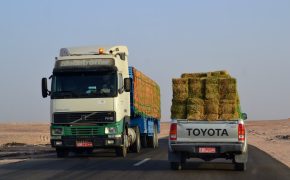 Comparativas Volvo vs Toyota, ¿Cuál es mejor en 2026? toyoo